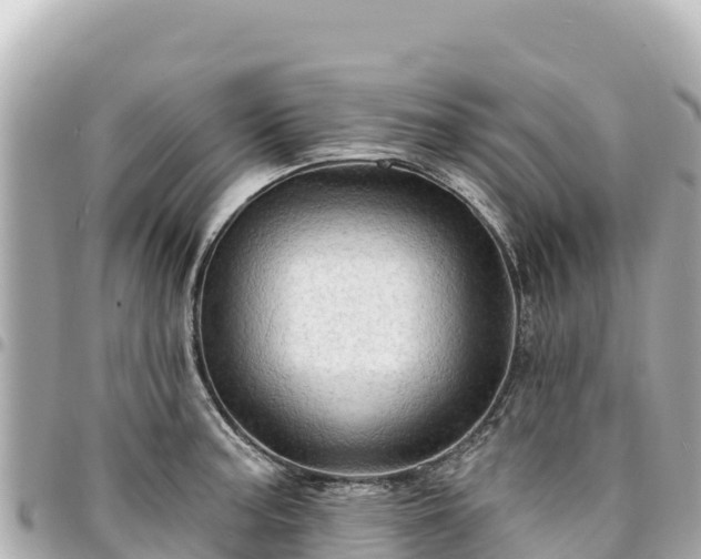 X0000095111187200712141145