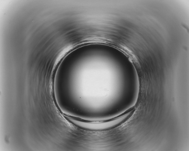 X0000095111188200712141145