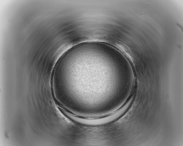 X0000095111189200712141145