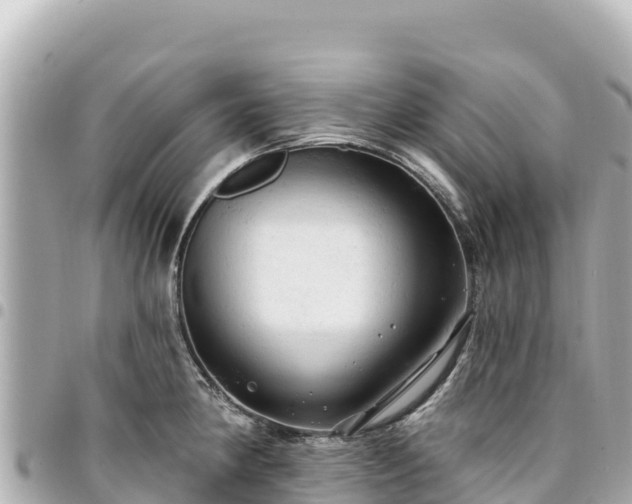 X0000095111190200712141145