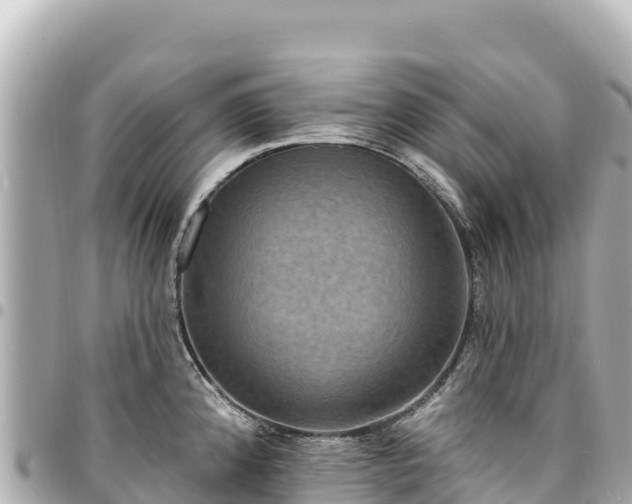 X0000095111192200712141145