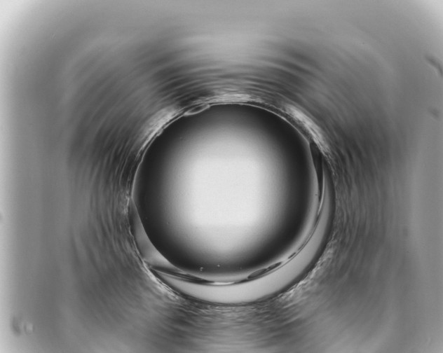 X0000095111193200712141145