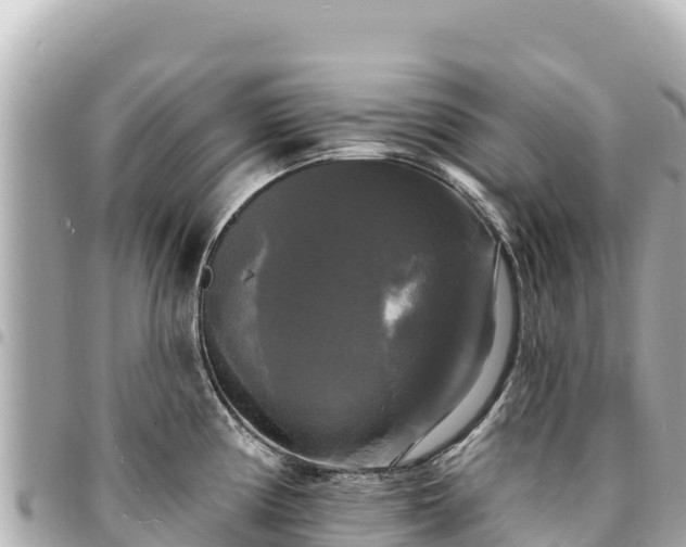 X0000095111194200712141145