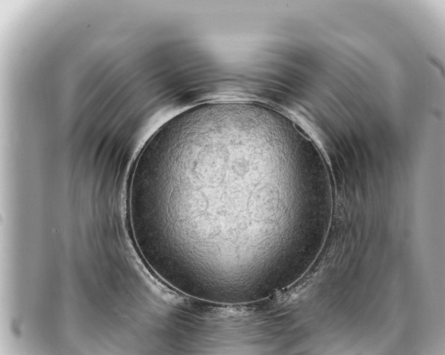 X0000095111195200712141145