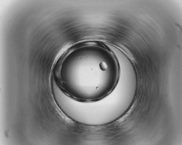 X0000095111196200712141145