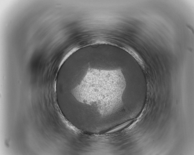 X0000095111198200712141144