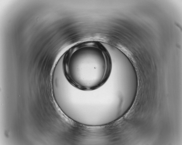 X0000095111200200712141144