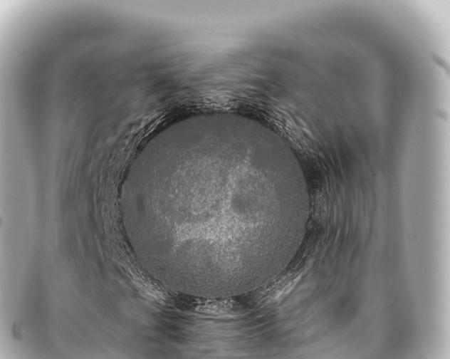 X0000095111201200712141144