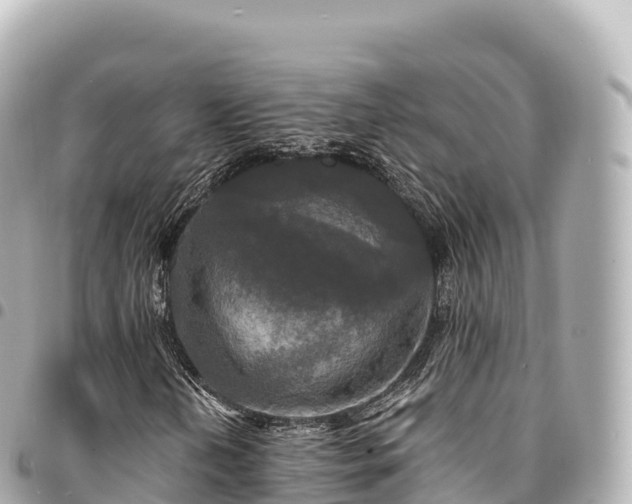 X0000095111202200712141144