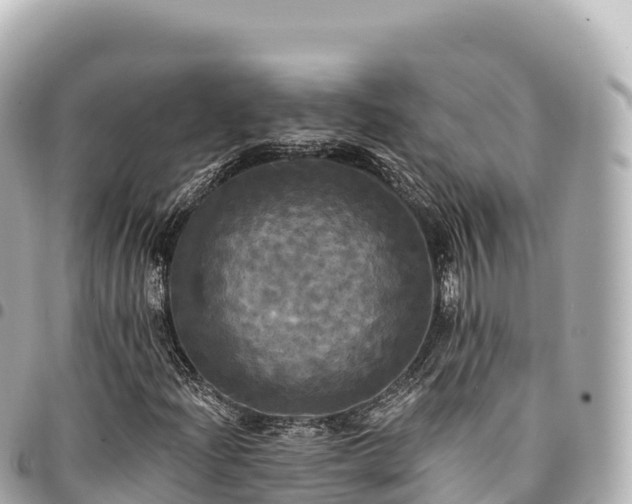 X0000095111204200712141144