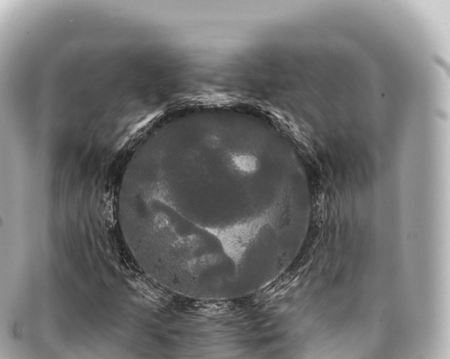 X0000095111205200712141144