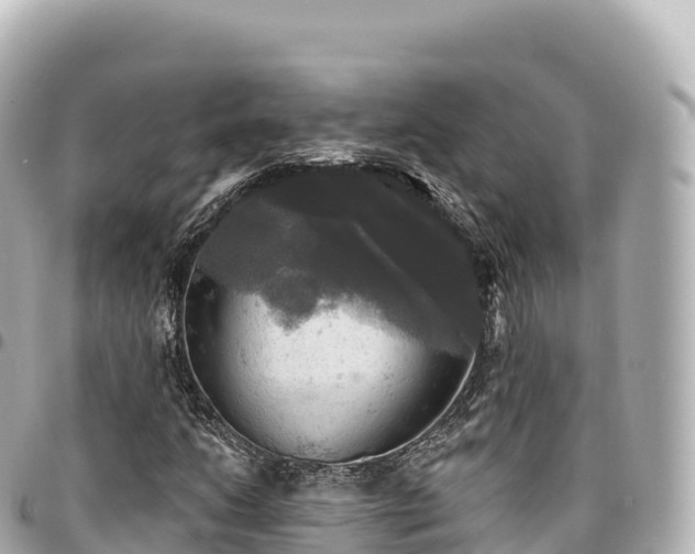 X0000095111206200712141144