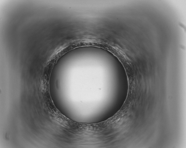 X0000095111207200712141144