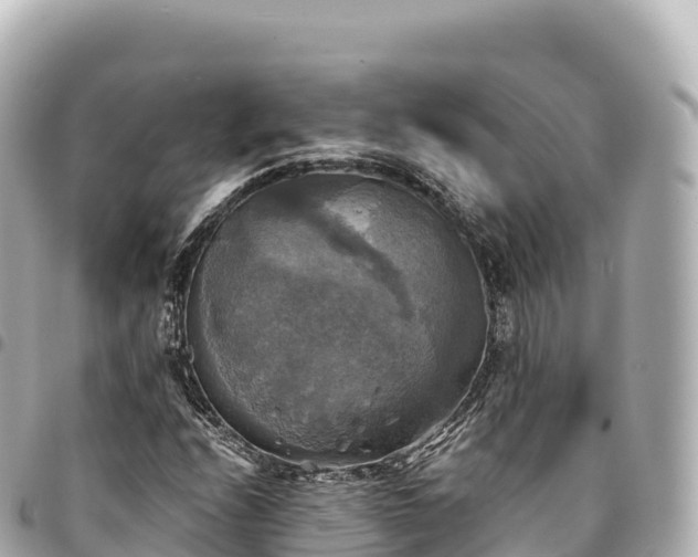 X0000095111208200712141144