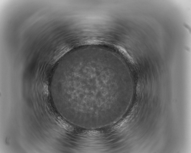 X0000095111209200712141144