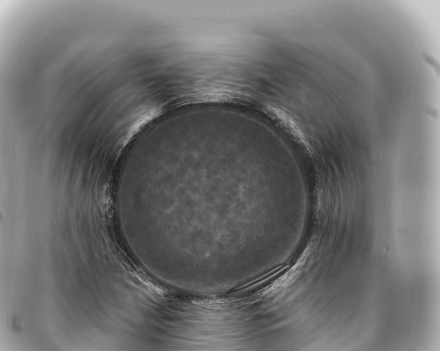 X0000095111210200712141144