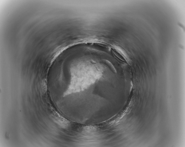 X0000095111212200712141144