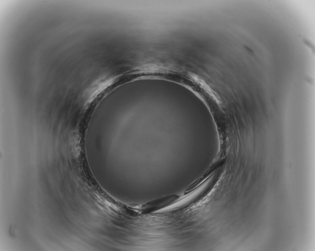 X0000095111213200712141144