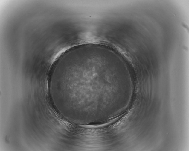 X0000095111214200712141144