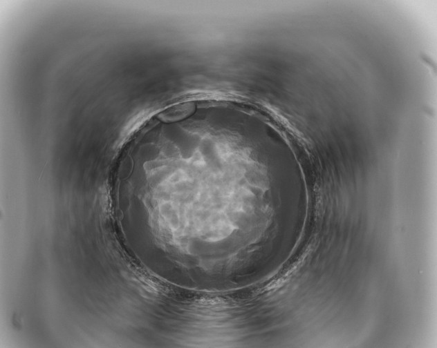 X0000095111215200712141144