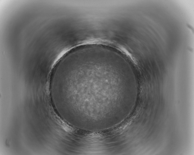 X0000095111216200712141144