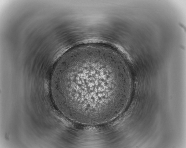 X0000095111217200712141144