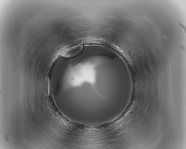 X0000095111219200712141144