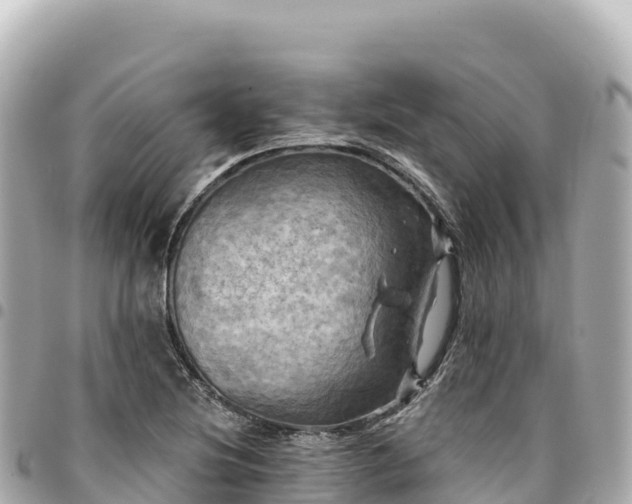 X0000095111220200712141144