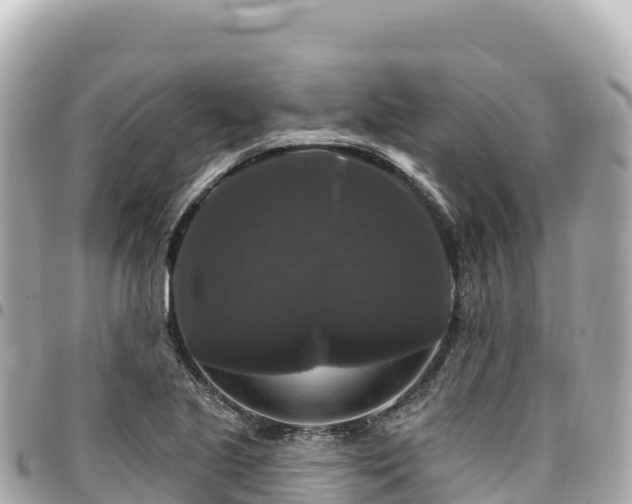 X0000095111221200712141144