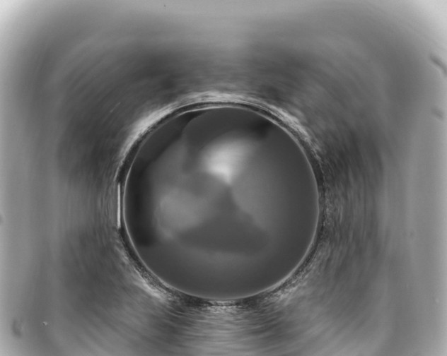 X0000095111223200712141144