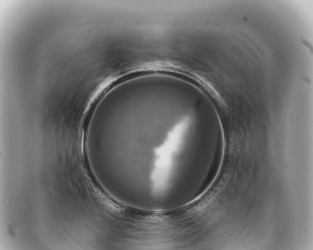 X0000095111224200712141144