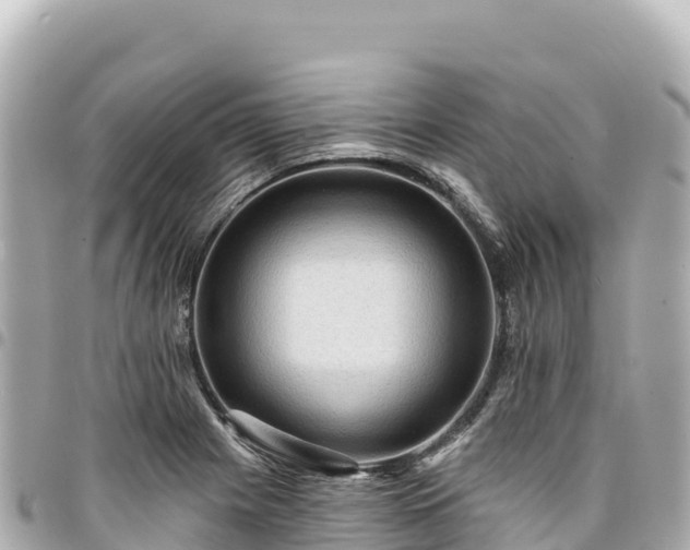 X0000095111225200712141144