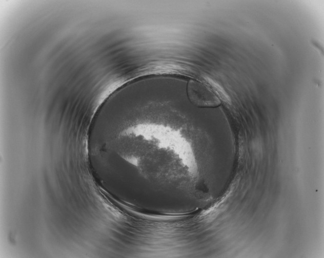 X0000095111226200712141144