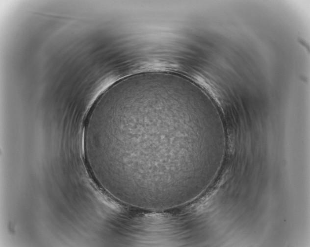 X0000095111227200712141144