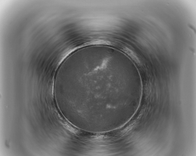 X0000095111228200712141144