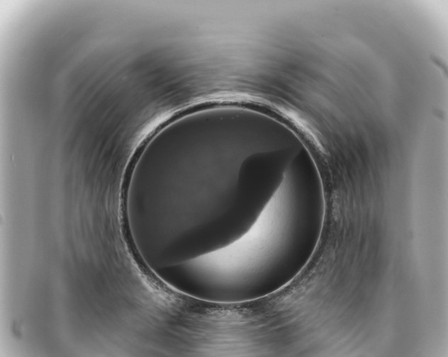 X0000095111229200712141144