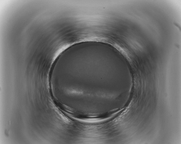 X0000095111230200712141144