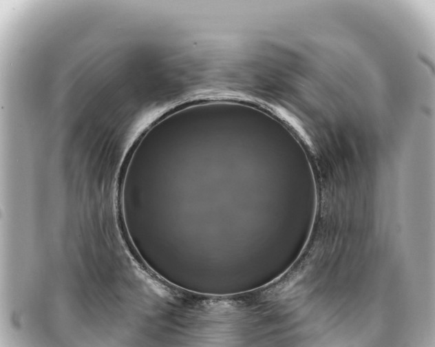 X0000095111231200712141144