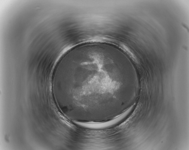 X0000095111232200712141144