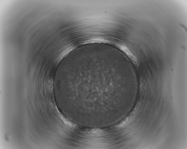 X0000095111233200712141144