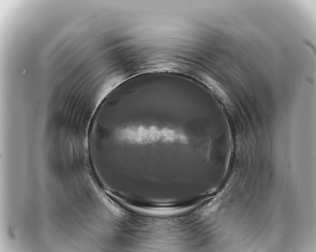 X0000095111234200712141144