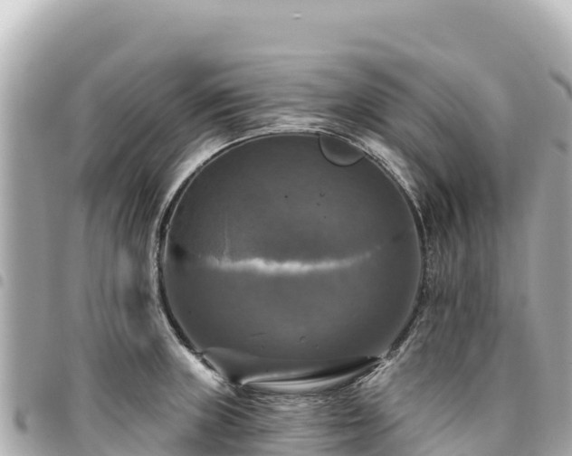 X0000095111235200712141144