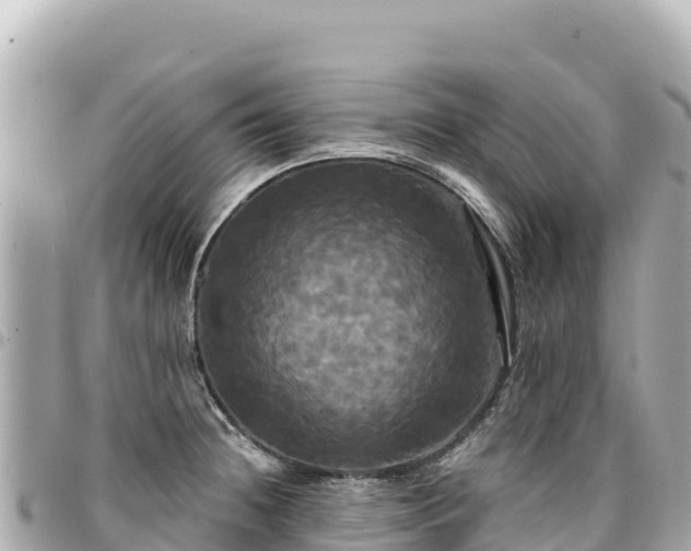 X0000095111236200712141144