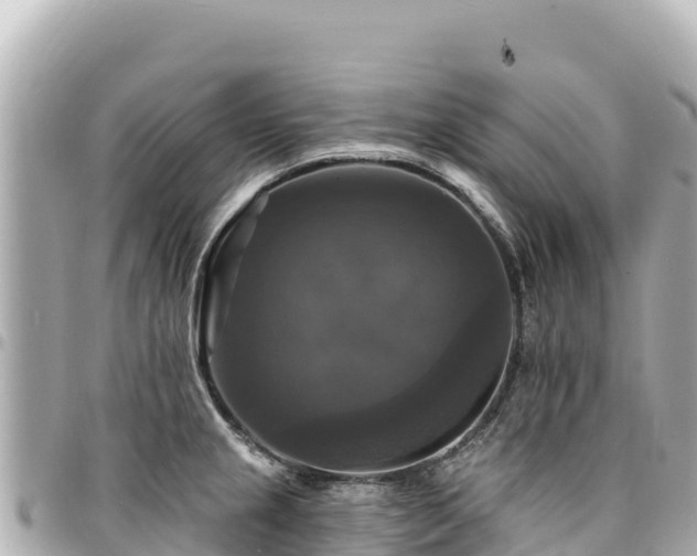 X0000095111237200712141144