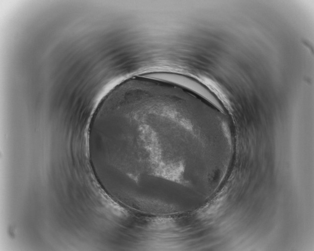 X0000095111238200712141144