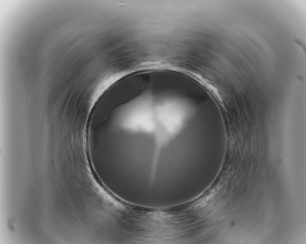 X0000095111239200712141144