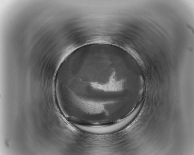 X0000095111240200712141144