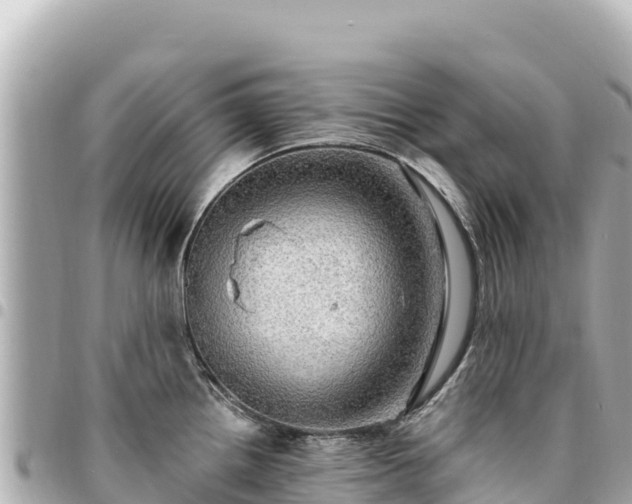 X0000095111242200712141144