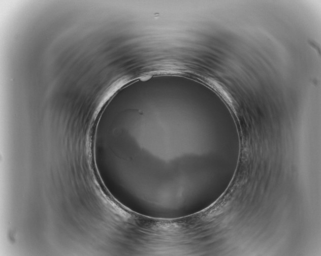 X0000095111243200712141144