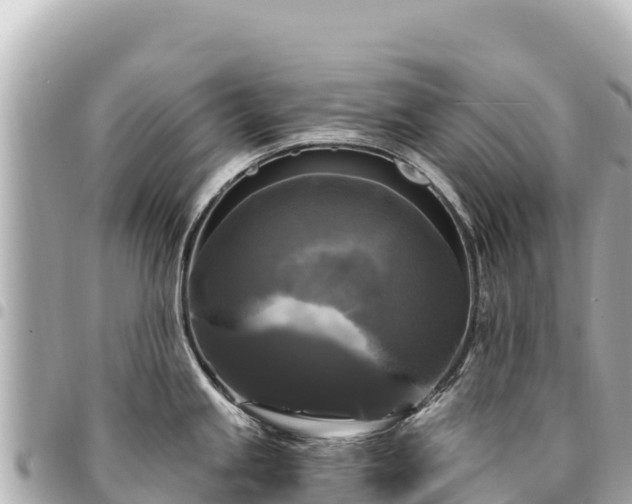 X0000095111245200712141144